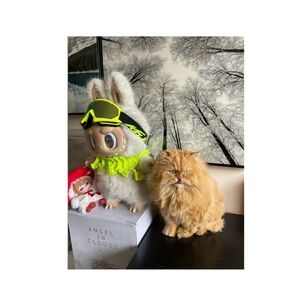 HANDCRAFTED photography print my me got animal lovers NWT